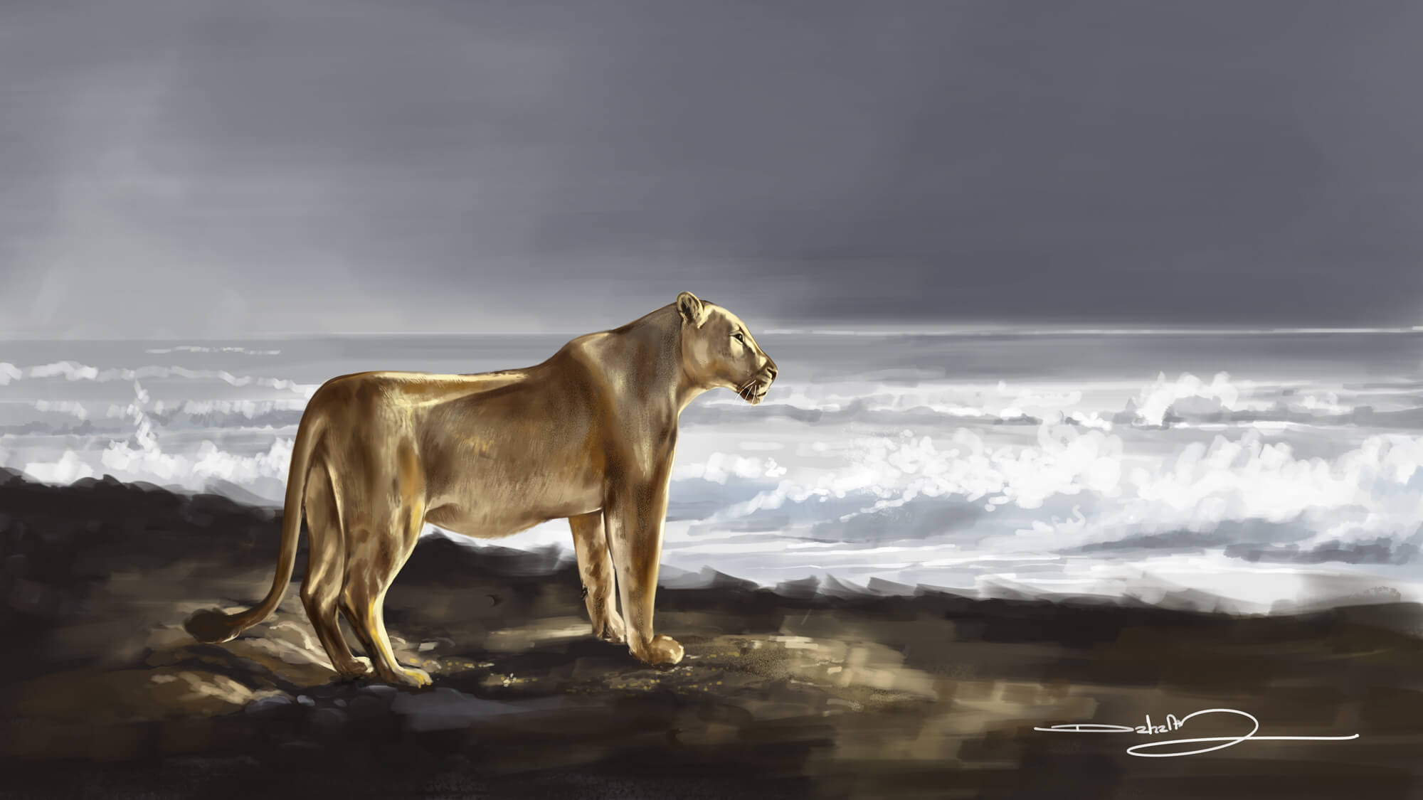 LIONESS-AT-BEACH